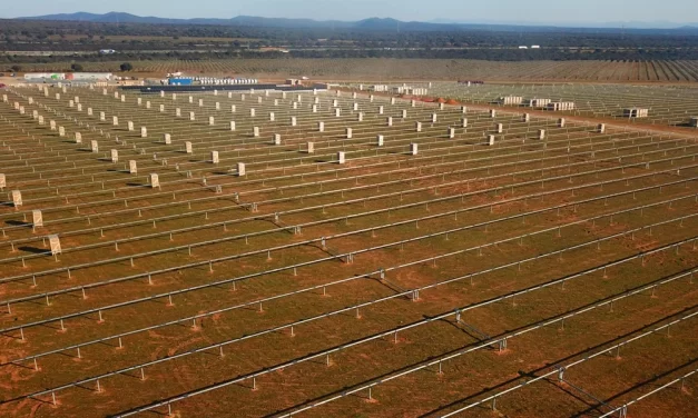 Comienzan la construcción de una nueva planta de energía fotovoltaica en Extremadura