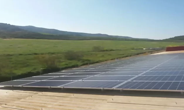 Completada la ingeniería del proyecto fotovoltaico de PF ICTIO Alcantara