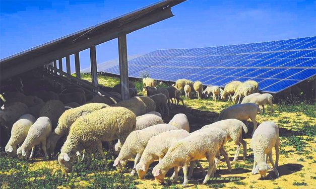 Solaria aumenta su inversión en energía fotovoltaica en Castilla y León