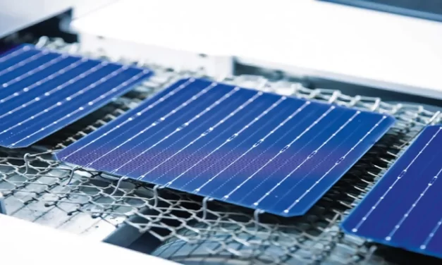 La evolución de las celulas fotovoltaicas Longi