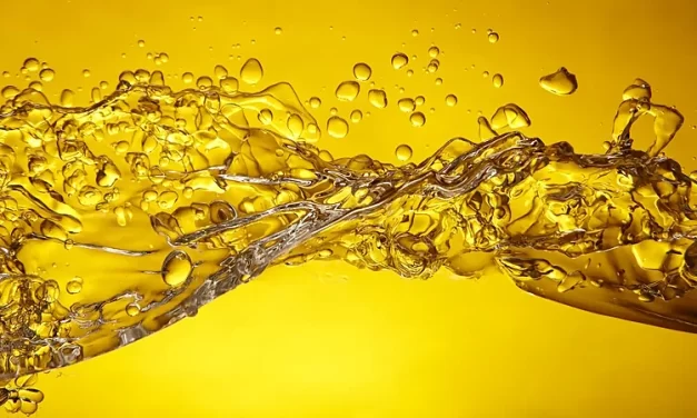 Las fases de elaboracion de biocombustibles de aceite de soja