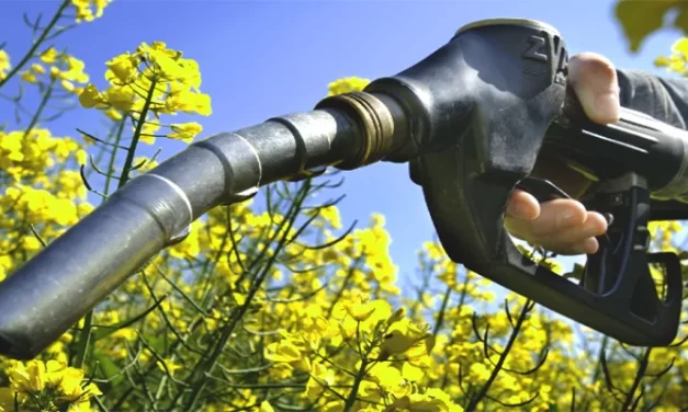 Biocombustibles: Una Alternativa Sostenible para la Descarbonización del Transporte