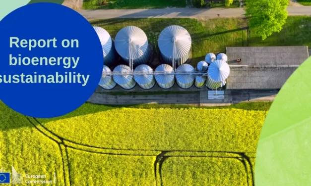 La Comisión Europea publica un informe de bioenergia sostenible