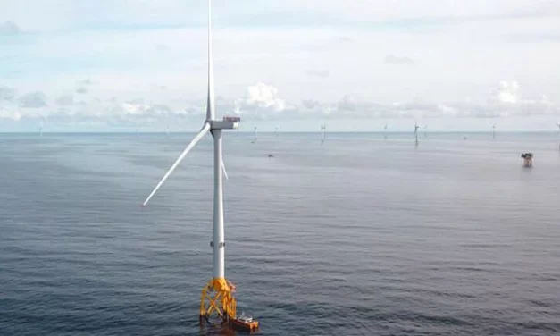 Inteligencia artificial en parques eólicos offshore flotantes para la gestión de la integridad estructural