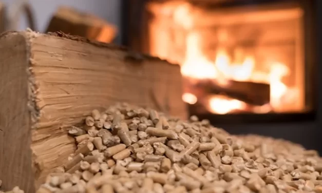 Los pellets de biomasa en España: qué son, producción y consumo