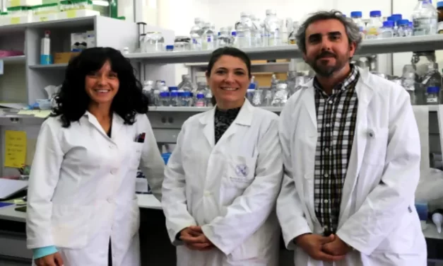 Nuevo avance en el hidrógeno biológico de mano de científicos españoles