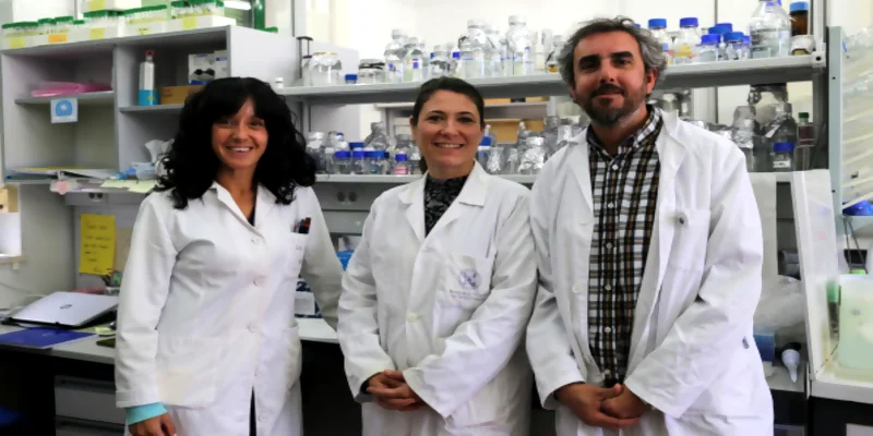 Nuevo avance en el hidrógeno biológico de mano de científicos españoles