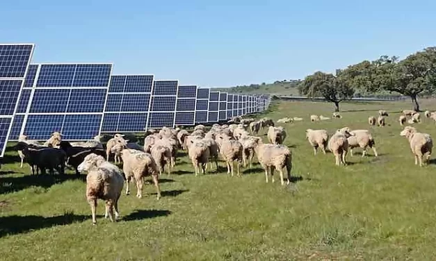 Las medidas verdes en energia fotovoltaica