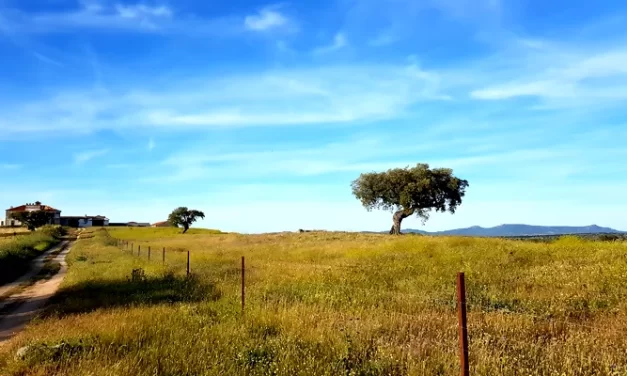Captura de carbono en agricultura: el proyecto MRV4SOC